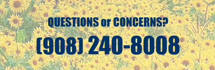 sunflowerlearning.org